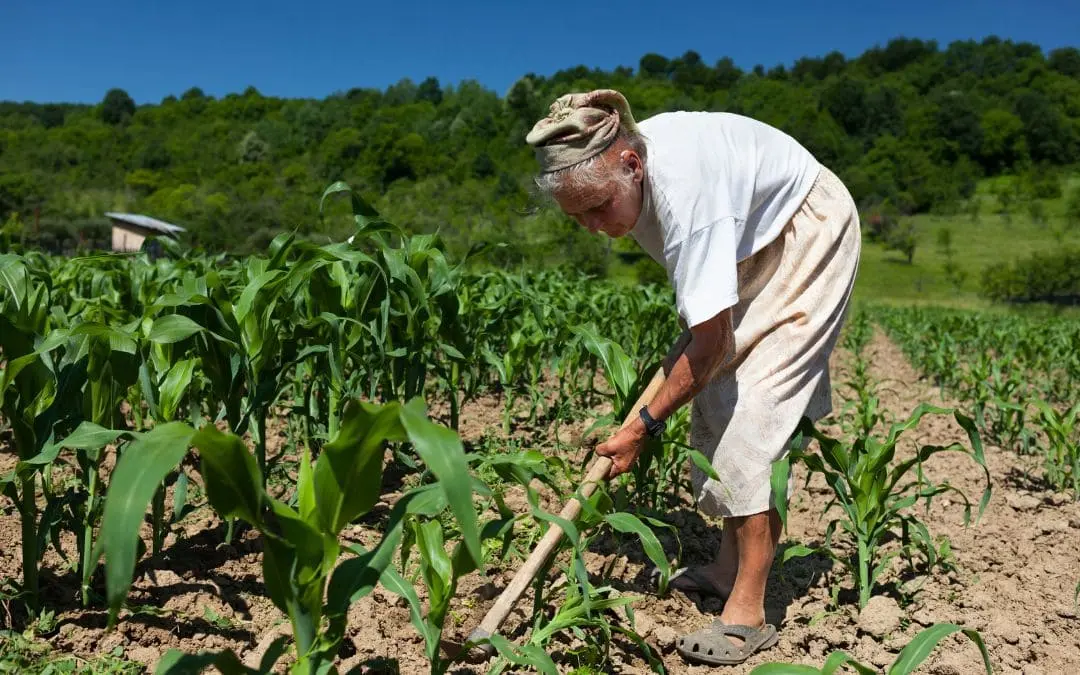 Como Comprovar Atividade Rural no INSS: Documentos Essenciais